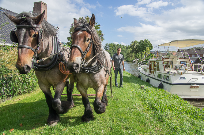 Paardenkracht, horsepower