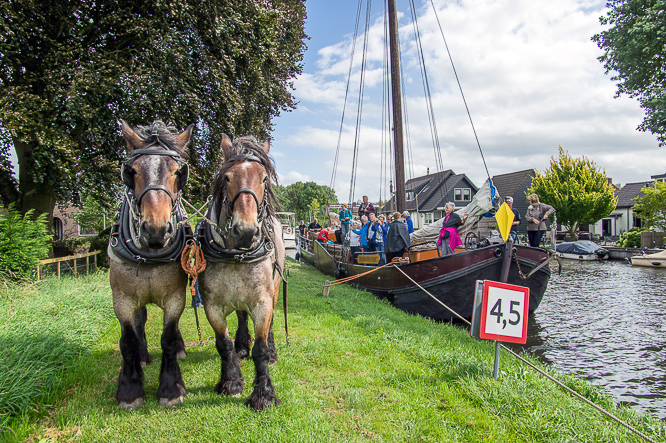 Paardenkracht, horsepower