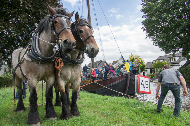 Paardenkracht, horsepower