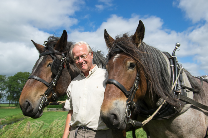 Paardenkracht, horsepower