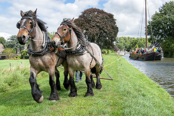 Paardenkracht, horsepower