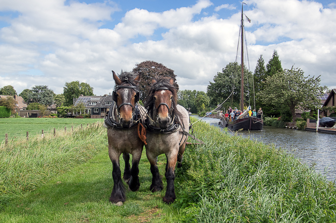 Paardenkracht, horsepower