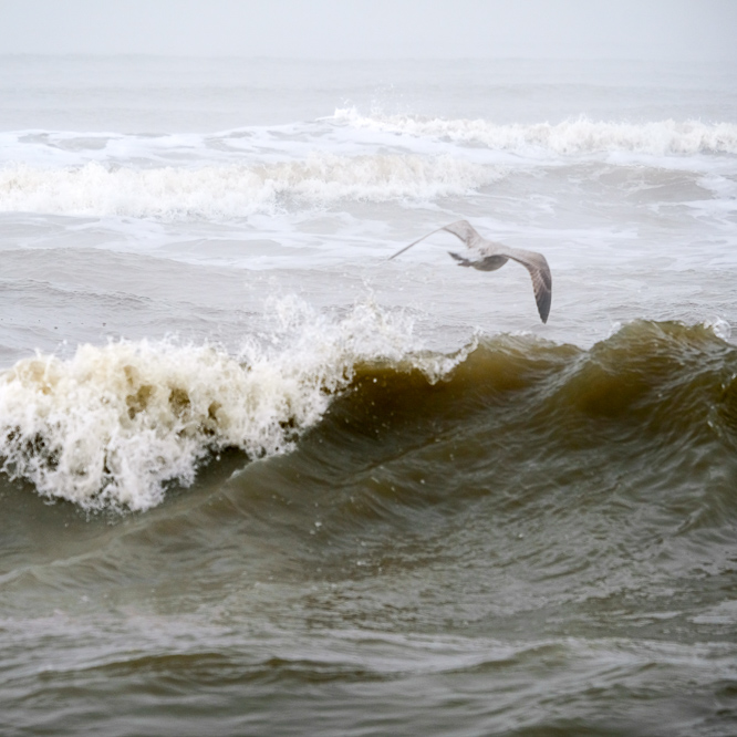 Zee strand en duinen, North Sea