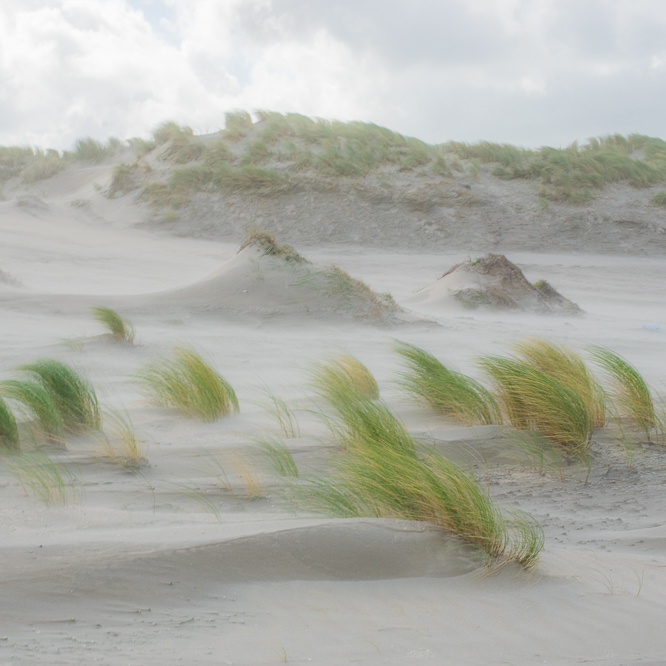 Zee strand en duinen, North Sea