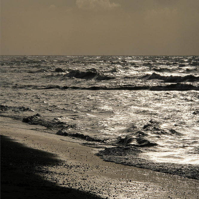 Zee strand en duinen, North Sea