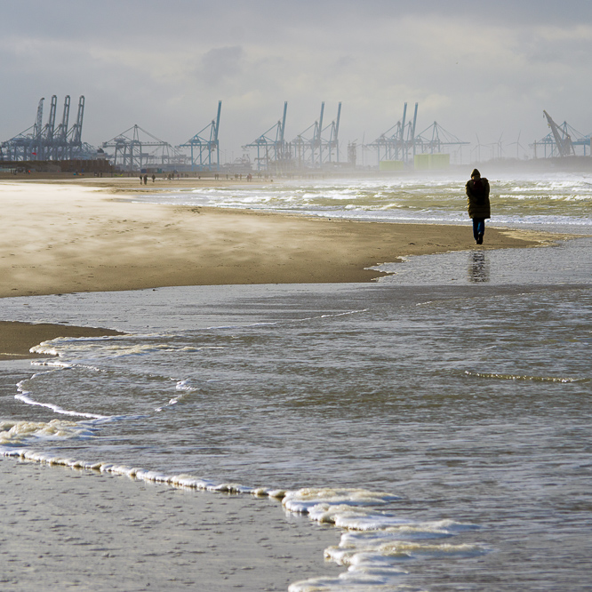 Zee strand en duinen, North Sea