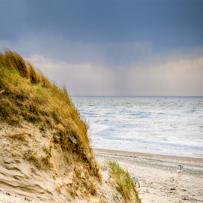 Zee strand en duinen, North Sea