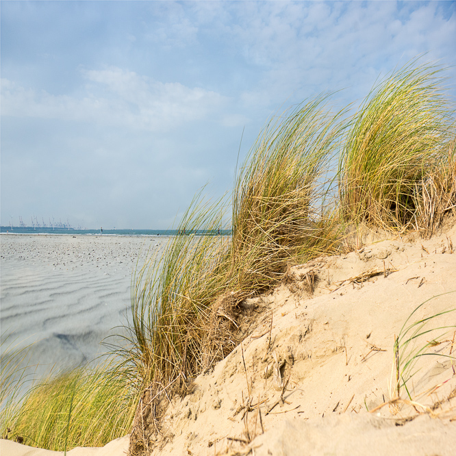 Zee strand en duinen, North Sea