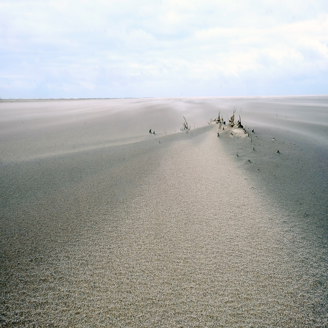 Zee strand en duinen, North Sea