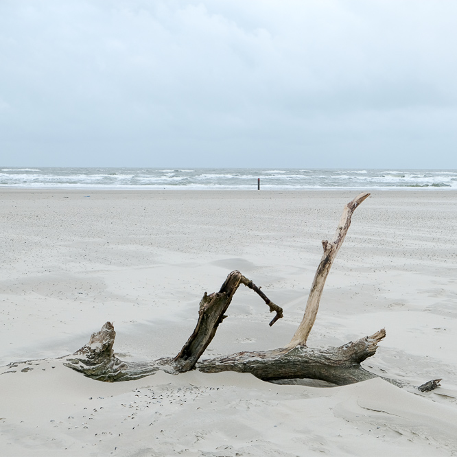 Zee strand en duinen, North Sea