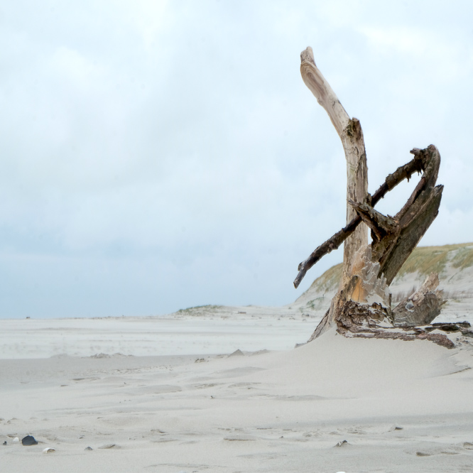 Zee strand en duinen, North Sea