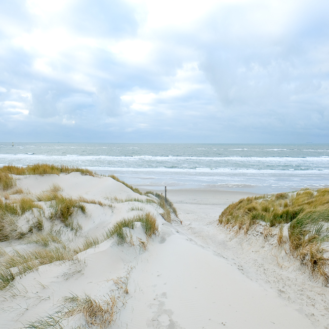 Zee strand en duinen, North Sea