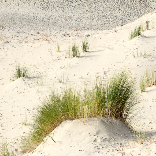 Zee strand en duinen, North Sea