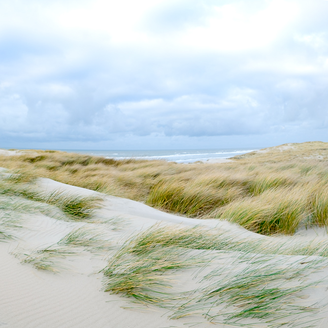 Zee strand en duinen, North Sea