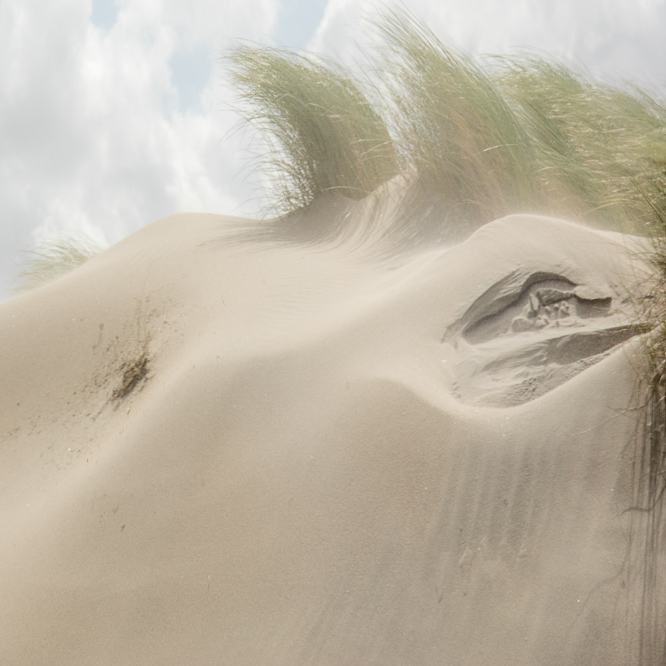 Zee strand en duinen, North Sea