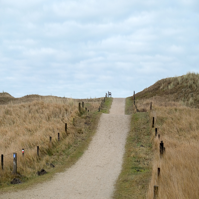 Zee strand en duinen, North Sea