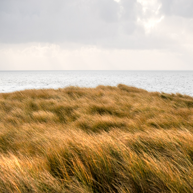 Zee strand en duinen, North Sea