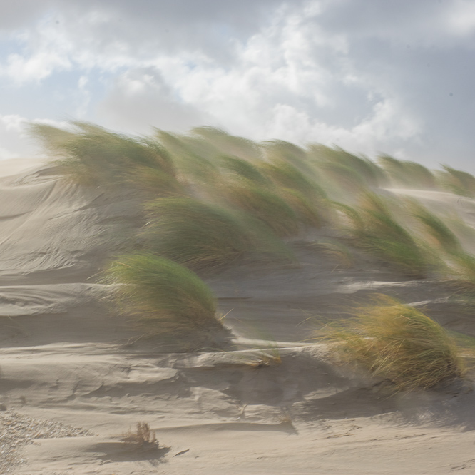 Zee strand en duinen, North Sea