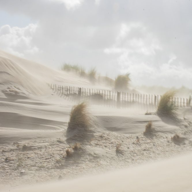 Zee strand en duinen, North Sea