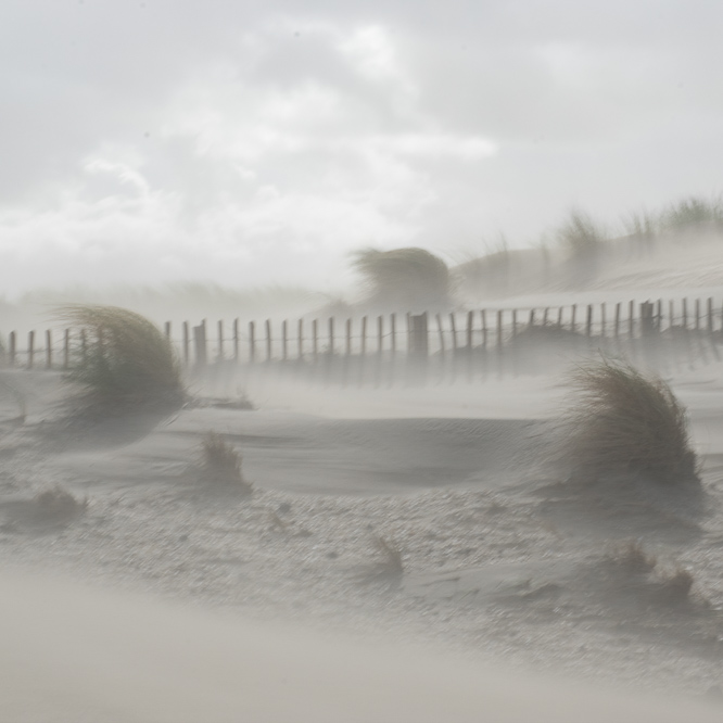 Zee strand en duinen, North Sea