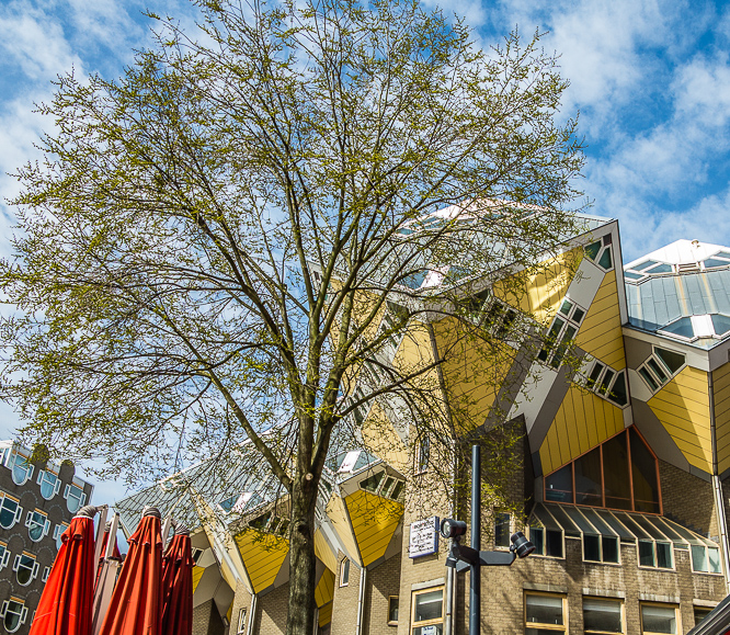 Kubuswoningen in Rotterdam