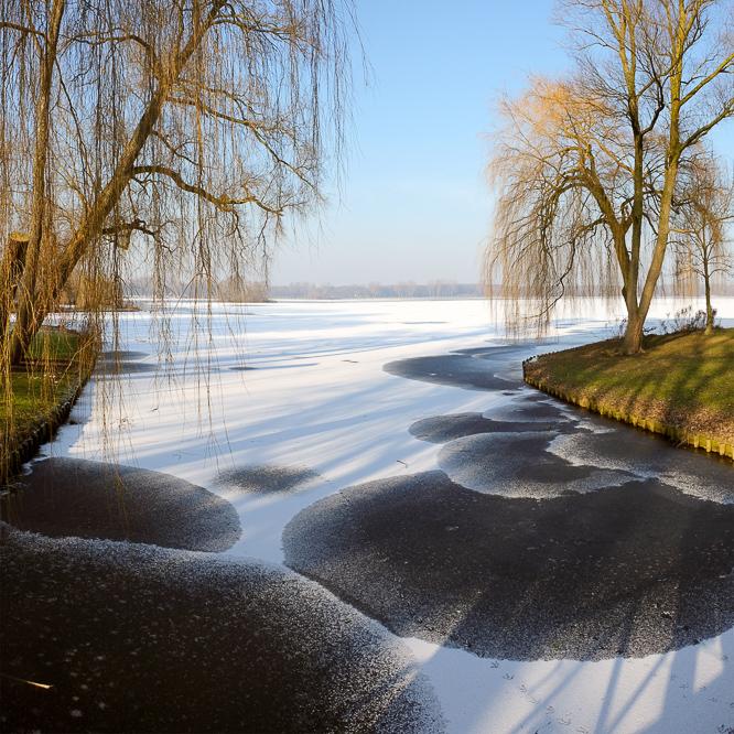 Kralingse bos