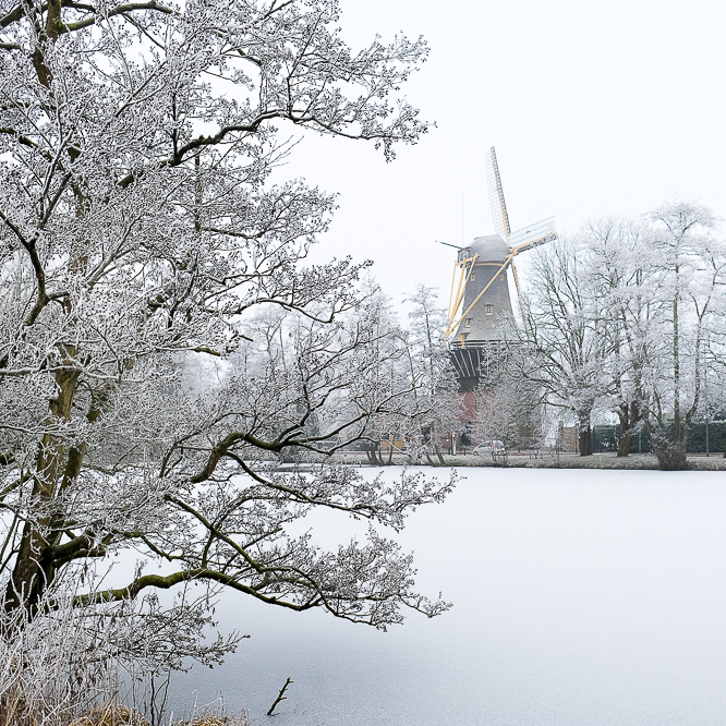 Kralingse bos