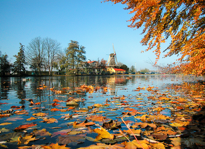 Kralingse bos