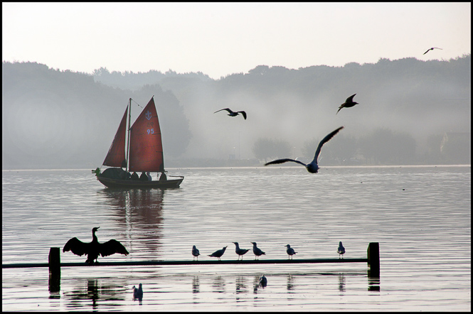 Kralingse bos