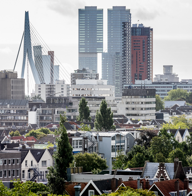 the many faces of Rotterdam