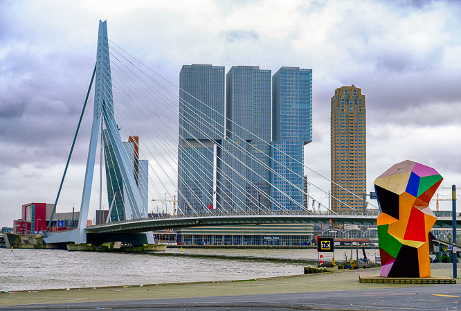 the many faces of Rotterdam