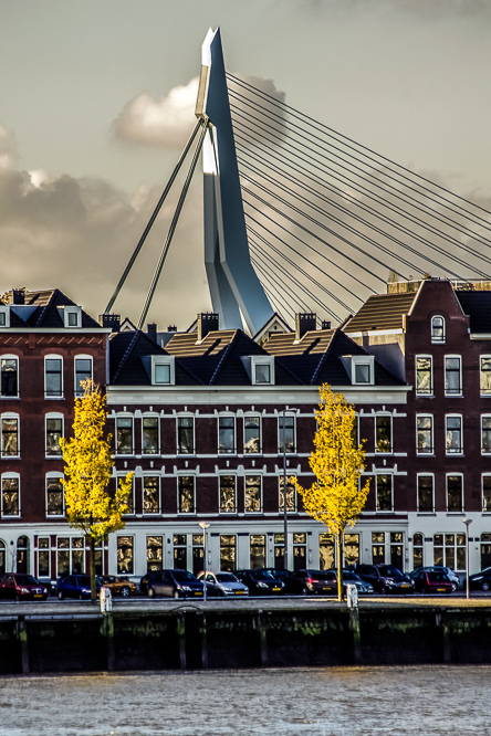 the many faces of Rotterdam
