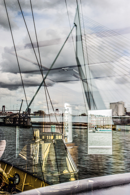 the many faces of Rotterdam