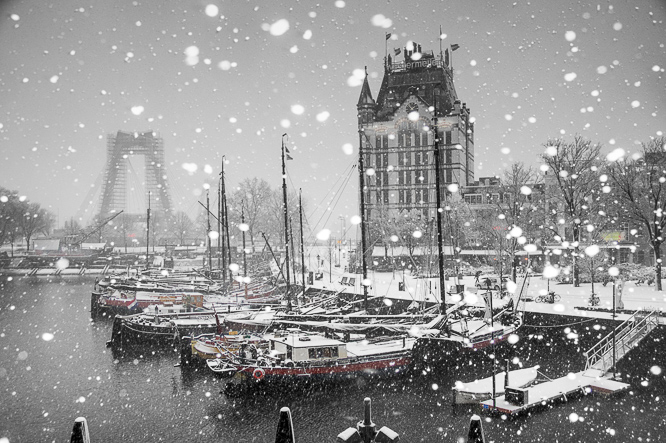 the many faces of Rotterdam