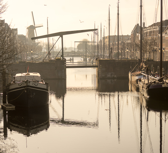 the many faces of Rotterdam