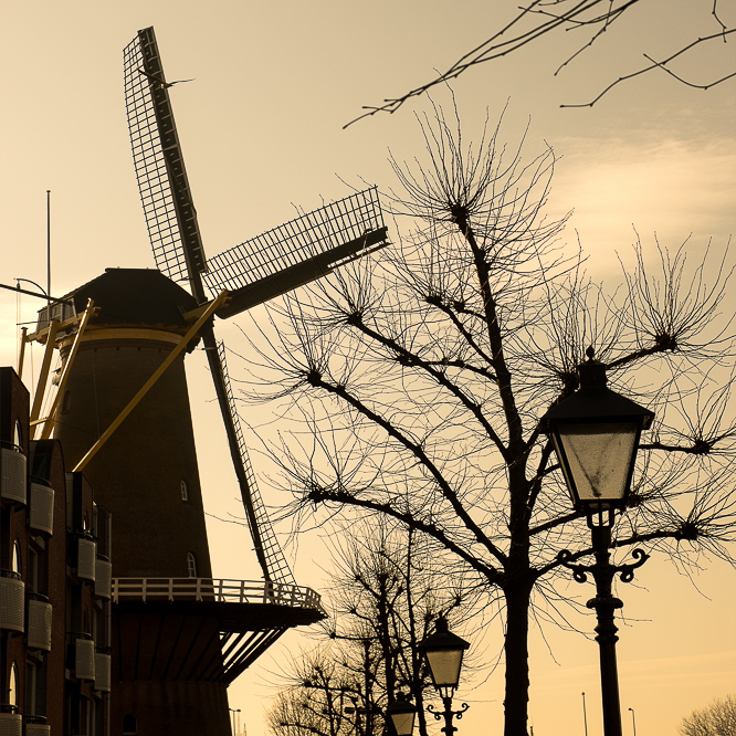 the many faces of Rotterdam