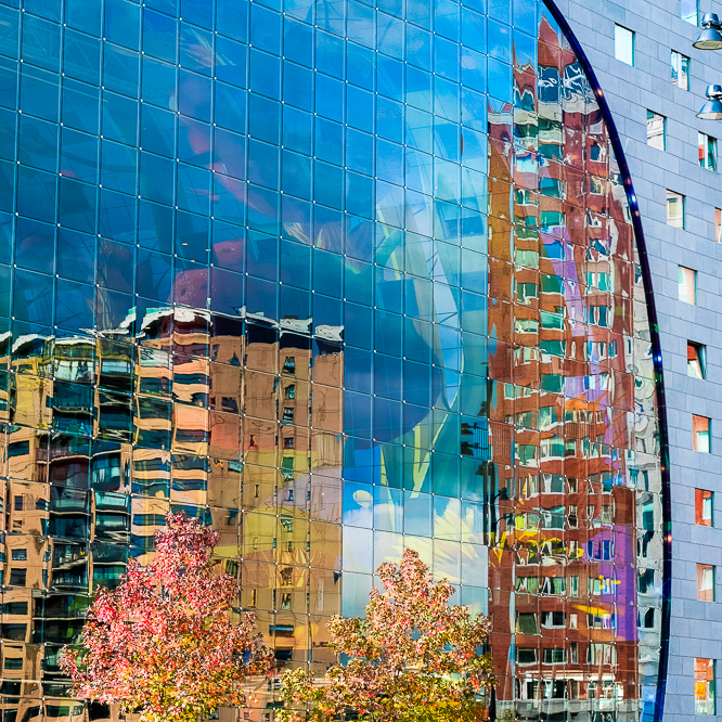 Markthal in Rotterdam