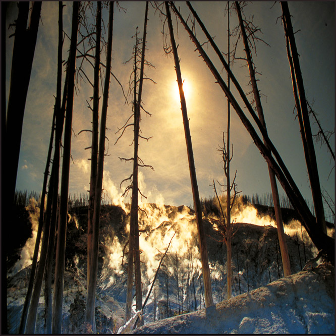 Yellowstone parc