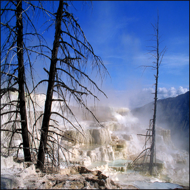 Yellowstone parc