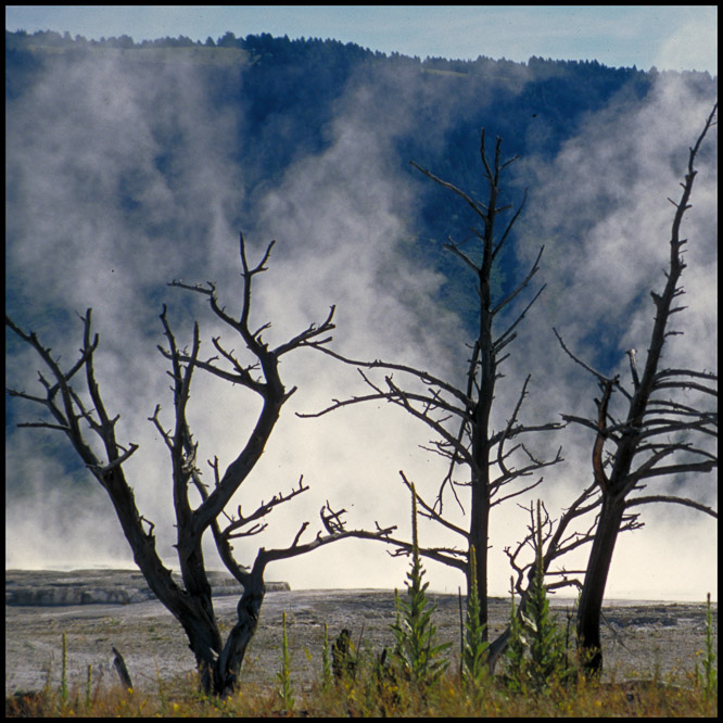 Yellowstone parc