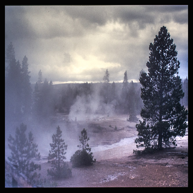 Yellowstone parc