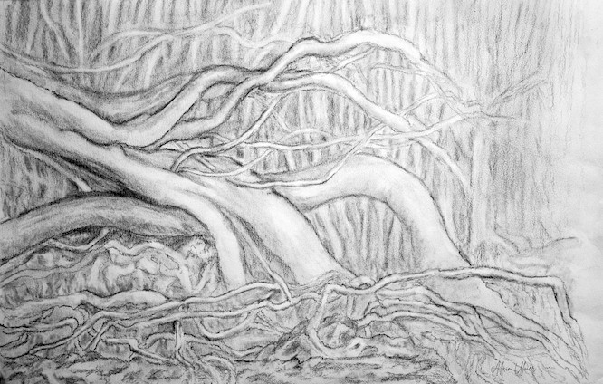 Branches